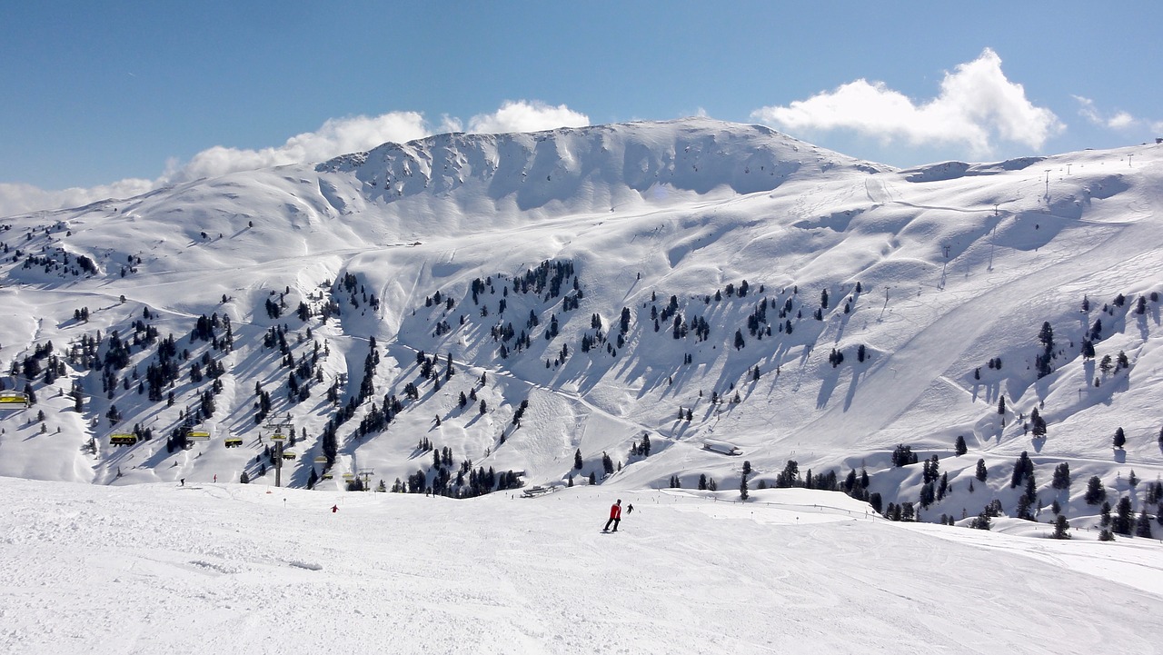 WILDKOGEL RODELBAHN TOBOGGAN SLEDDING